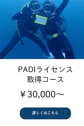 ライセンスコースメニューに飛ぶ画像