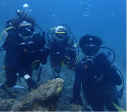 海の中でピース