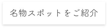 名物スポットをご紹介