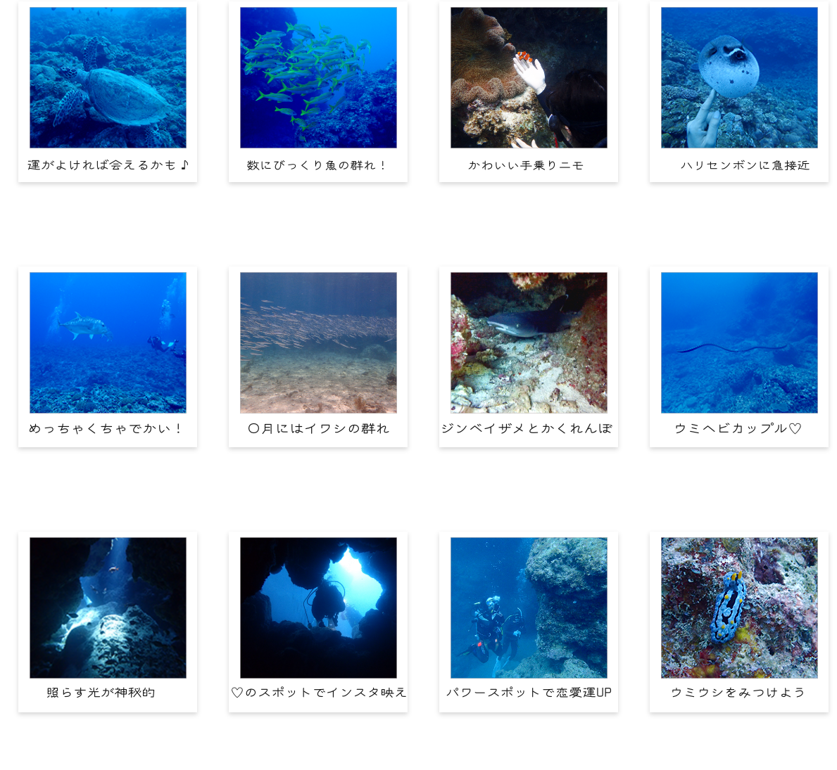 スポットご紹介画像12点