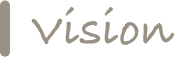 Vision